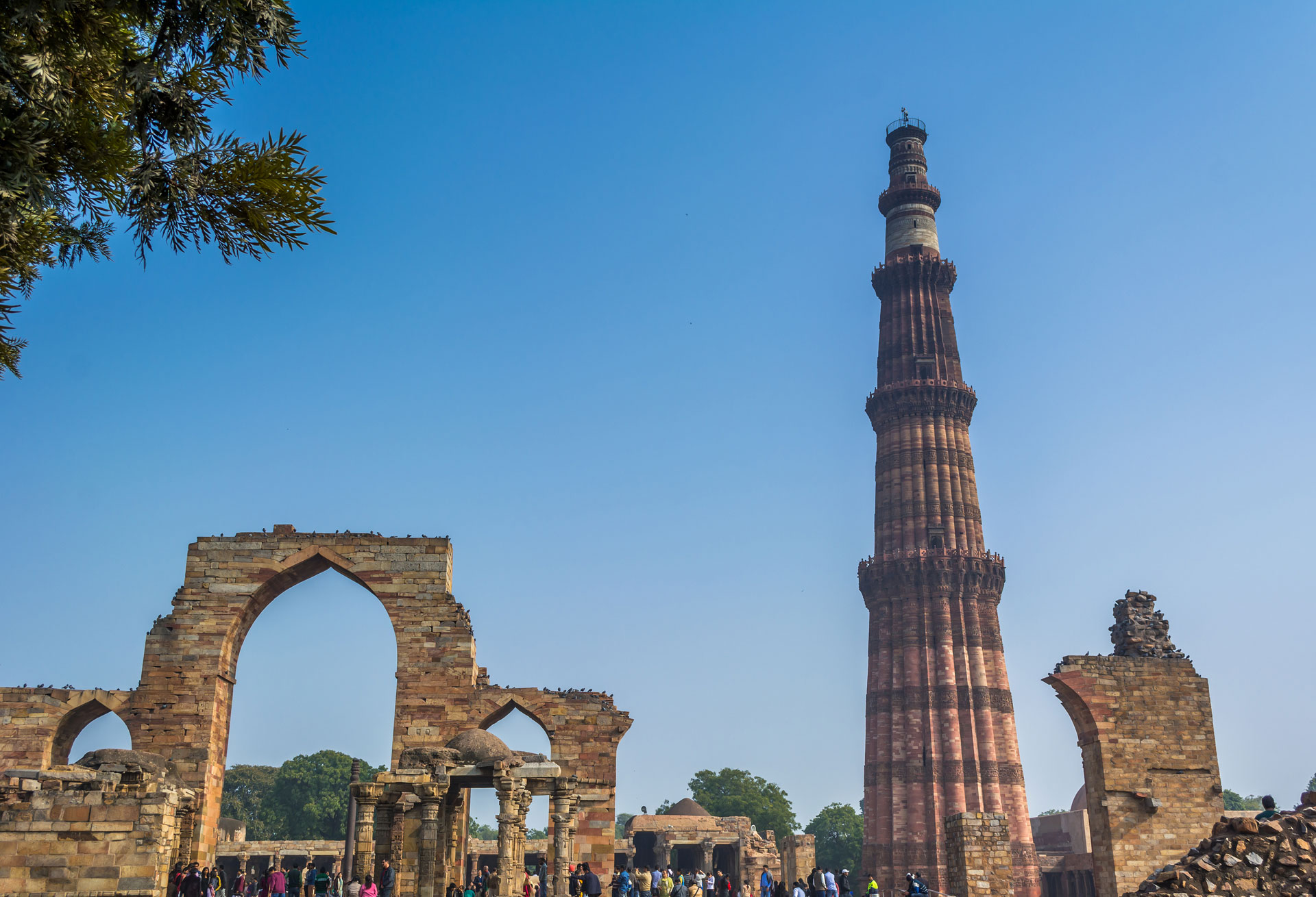 Rajasthan Wildlife With Forts