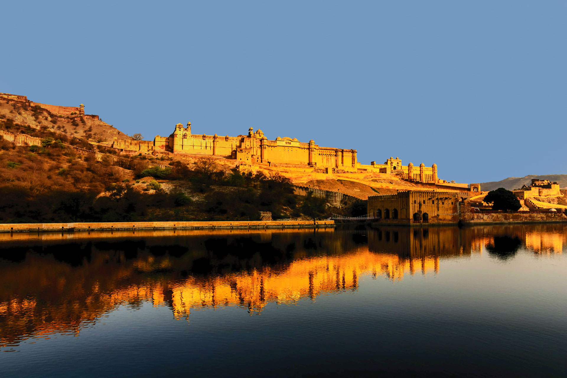 Rajasthan Wildlife With Forts