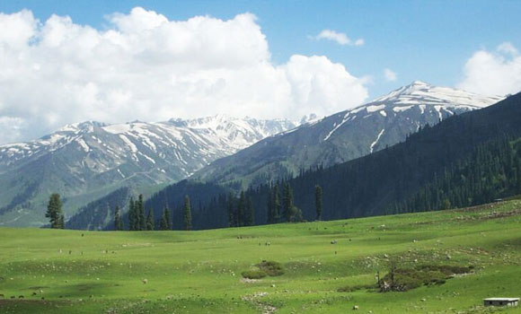 Kashmir Tour Packages