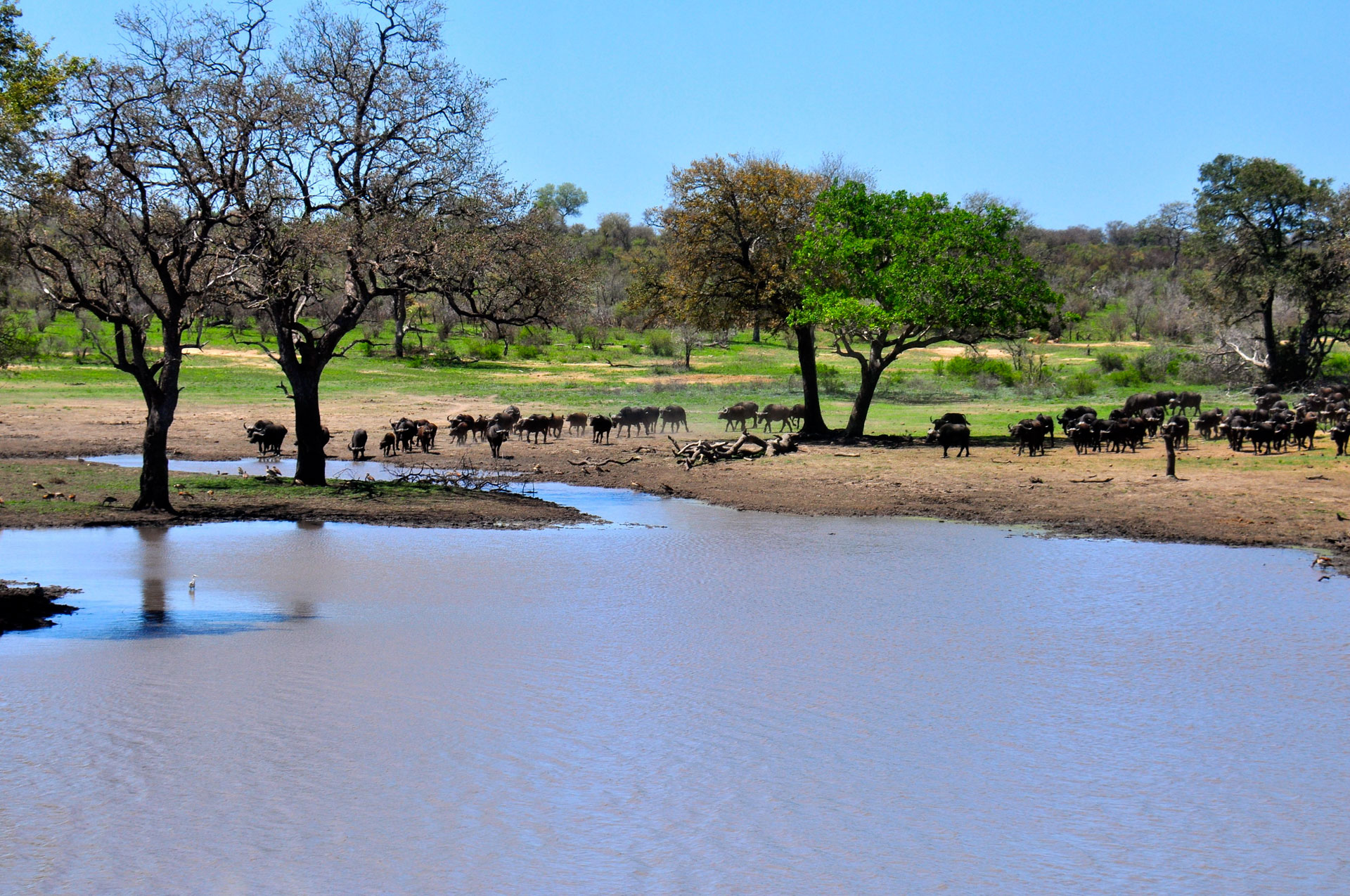 South Africa