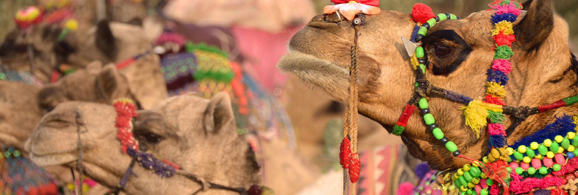 Rajasthan Luxury Tour Packages