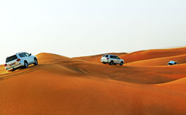 Dubai - Desert Safari